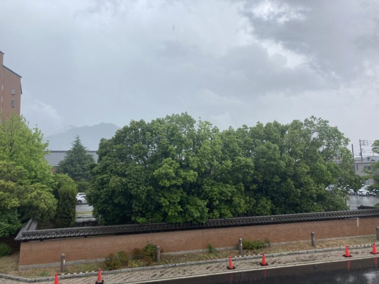 雷雨の日の保育室⚡️☔️