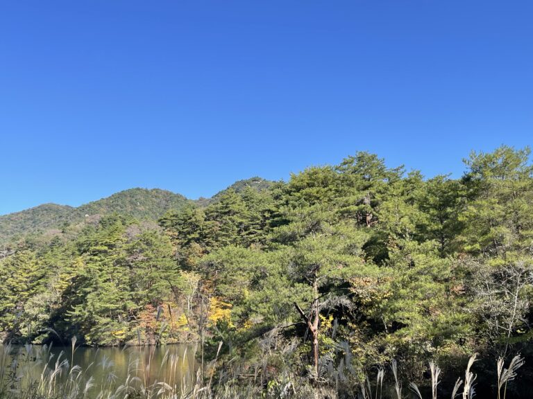 くじらチームおむすび岩登山