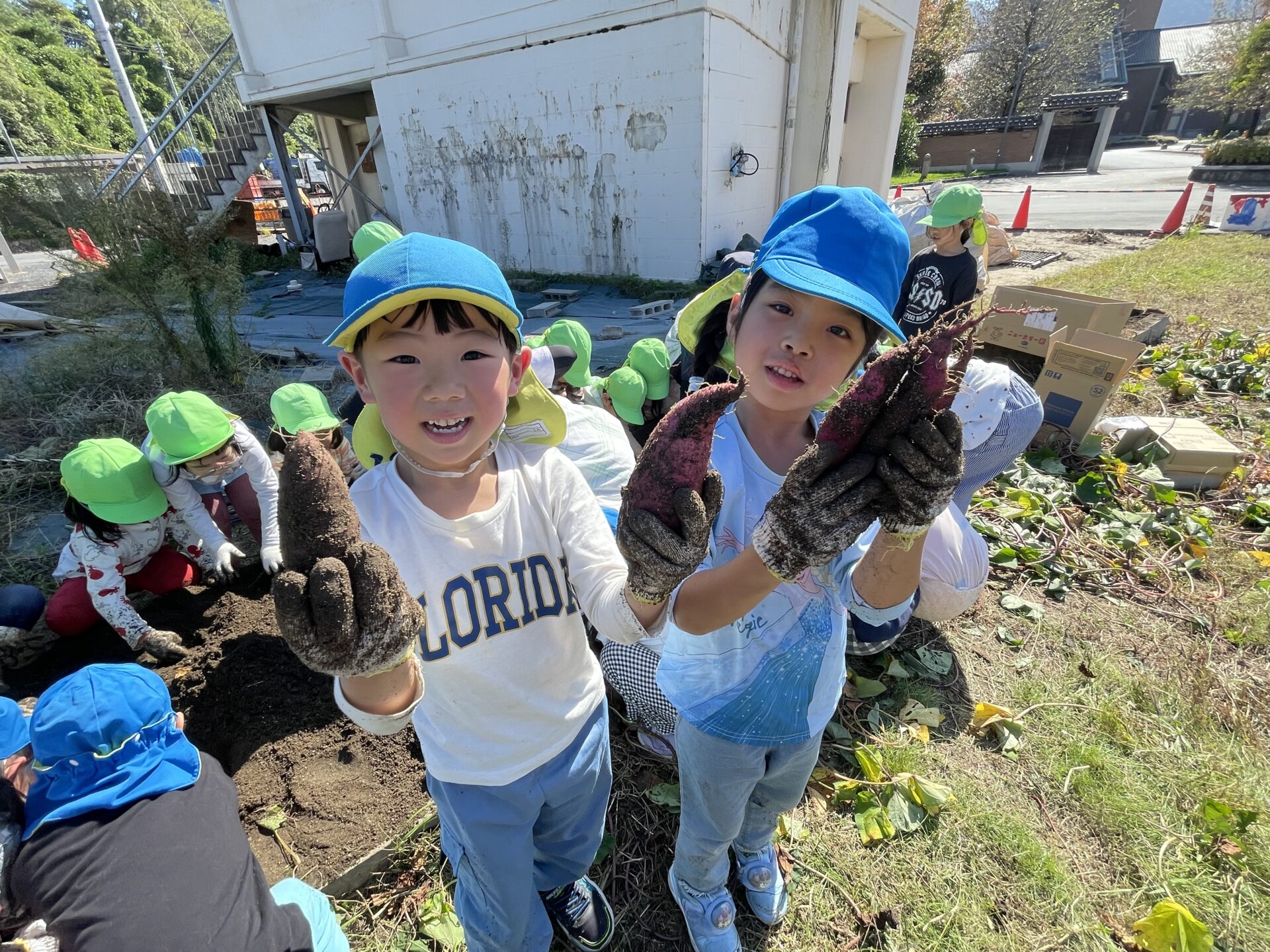 おもしろいことなんでもくじら級